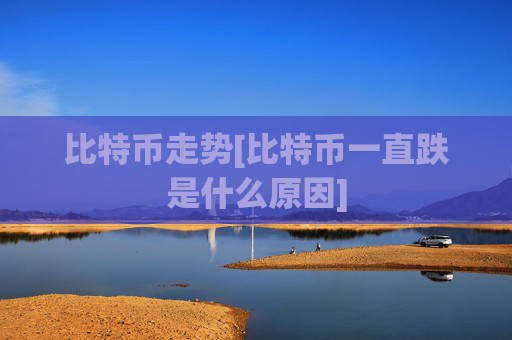 比特币走势[比特币一直跌是什么原因]