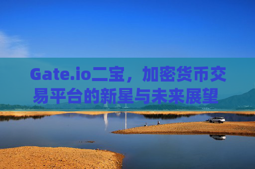 Gate.io二宝，加密货币交易平台的新星与未来展望 gate.io二宝