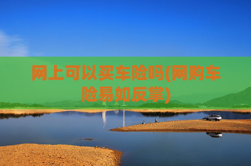 网上可以买车险吗(网购车险易如反掌)