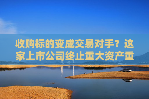 收购标的变成交易对手？这家上市公司终止重大资产重组