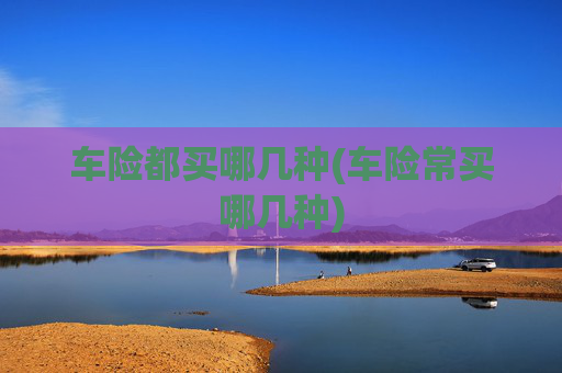 车险都买哪几种(车险常买哪几种)