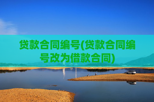 贷款合同编号(贷款合同编号改为借款合同)