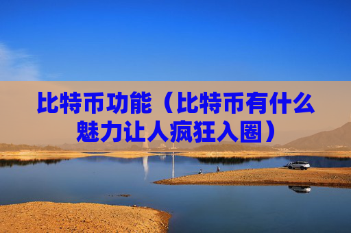 比特币功能（比特币有什么魅力让人疯狂入圈）