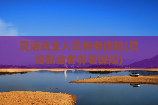 灵活就业人员养老保险(灵活就业者养老保障)
