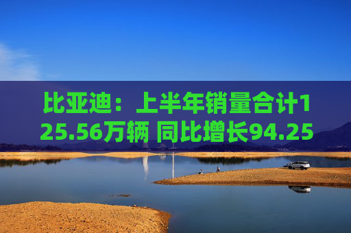 比亚迪：上半年销量合计125.56万辆 同比增长94.25%