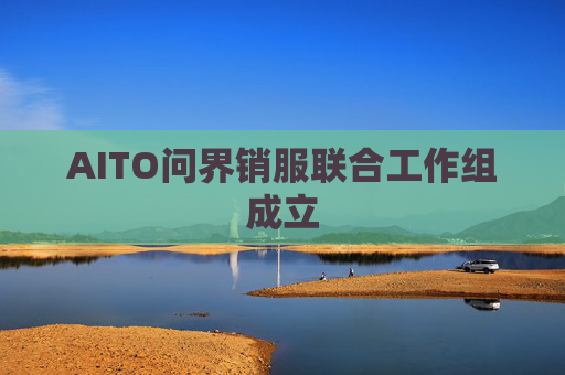 AITO问界销服联合工作组成立