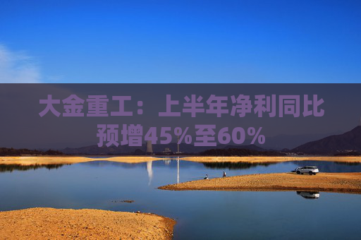 大金重工：上半年净利同比预增45%至60%