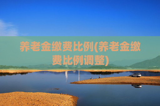 养老金缴费比例(养老金缴费比例调整)