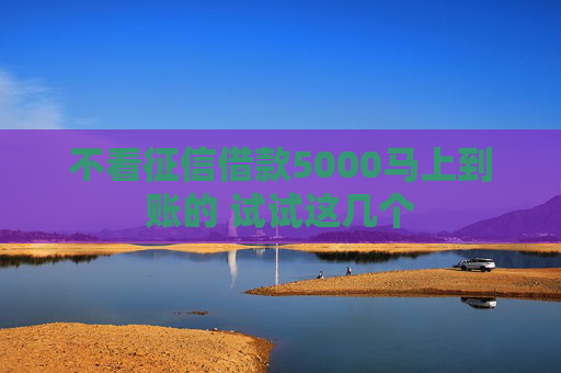 不看征信借款5000马上到账的 试试这几个
