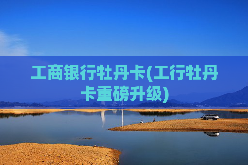 工商银行牡丹卡(工行牡丹卡重磅升级)