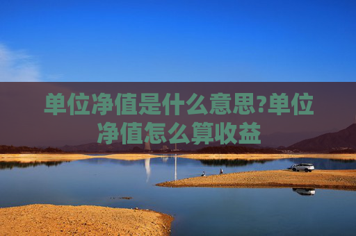 单位净值是什么意思?单位净值怎么算收益