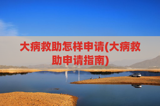大病救助怎样申请(大病救助申请指南)