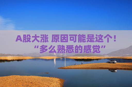 A股大涨 原因可能是这个！“多么熟悉的感觉”