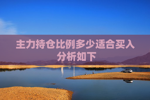 主力持仓比例多少适合买入 分析如下