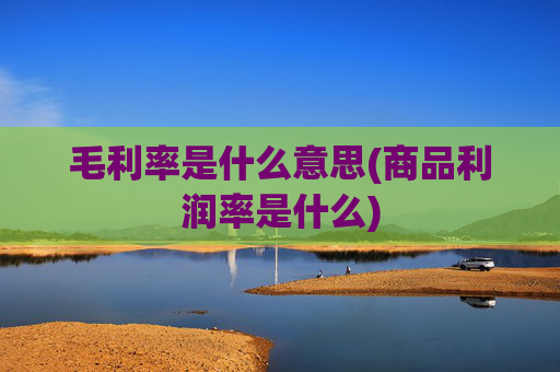 毛利率是什么意思(商品利润率是什么)
