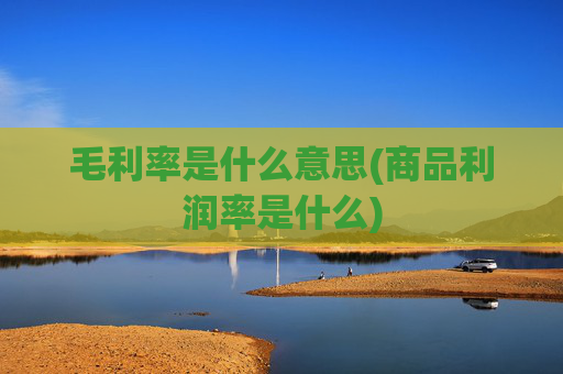 毛利率是什么意思(商品利润率是什么)