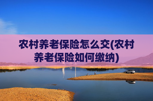 农村养老保险怎么交(农村养老保险如何缴纳)