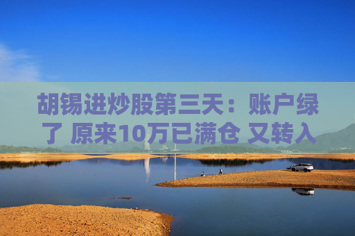 胡锡进炒股第三天：账户绿了 原来10万已满仓 又转入了10万