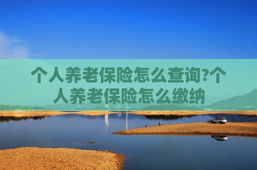 个人养老保险怎么查询?个人养老保险怎么缴纳