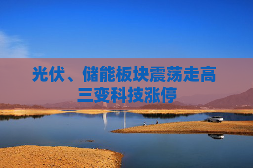光伏、储能板块震荡走高 三变科技涨停