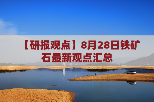 【研报观点】8月28日铁矿石最新观点汇总