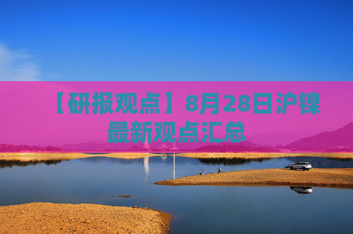 【研报观点】8月28日沪镍最新观点汇总