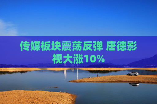 传媒板块震荡反弹 唐德影视大涨10%