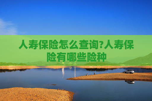 人寿保险怎么查询?人寿保险有哪些险种