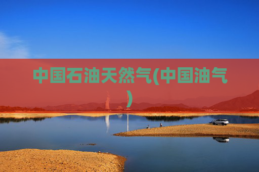 中国石油天然气(中国油气)