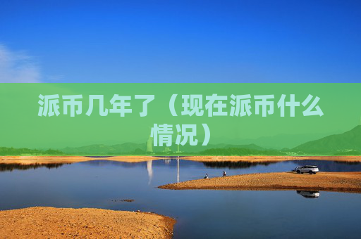 派币几年了（现在派币什么情况）