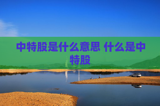 中特股是什么意思 什么是中特股