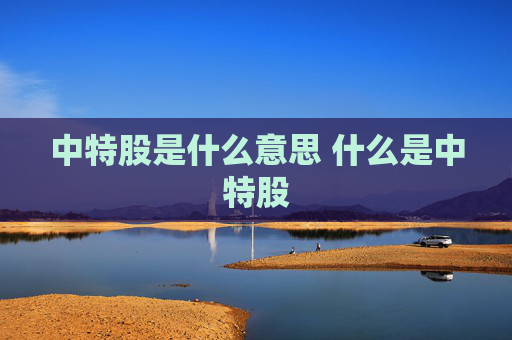 中特股是什么意思 什么是中特股