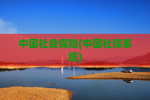 中国社会保险(中国社保系统)