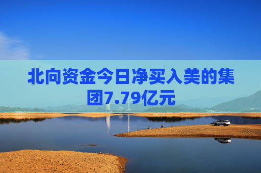 北向资金今日净买入美的集团7.79亿元