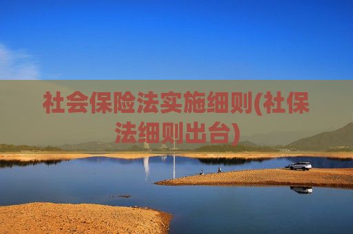 社会保险法实施细则(社保法细则出台)
