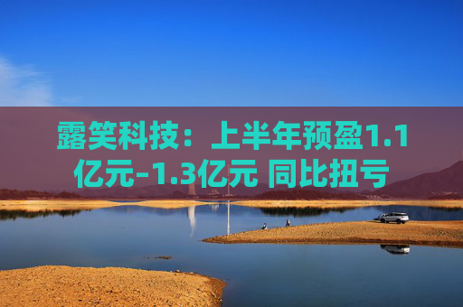 露笑科技：上半年预盈1.1亿元–1.3亿元 同比扭亏