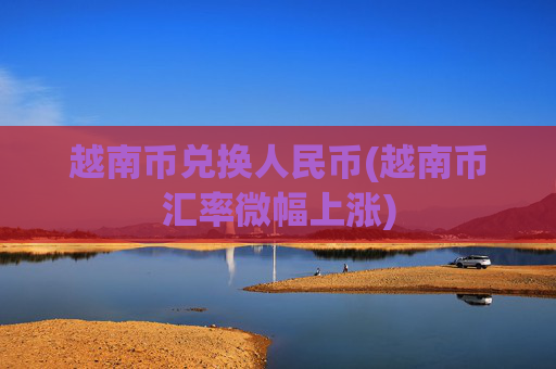 越南币兑换人民币(越南币汇率微幅上涨)