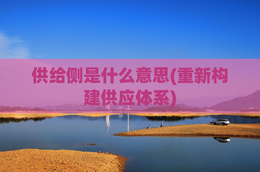 供给侧是什么意思(重新构建供应体系)