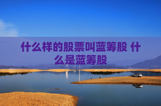 什么样的股票叫蓝筹股 什么是蓝筹股