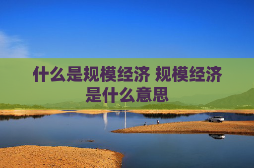 什么是规模经济 规模经济是什么意思