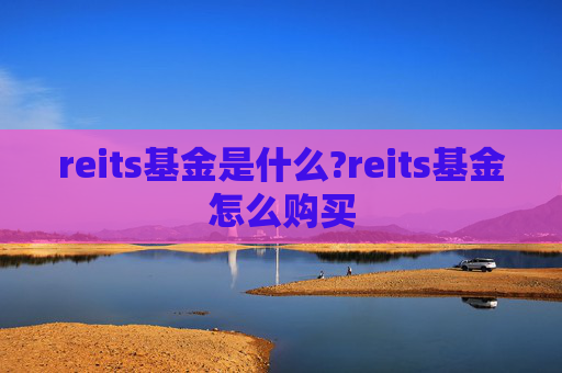 reits基金是什么?reits基金怎么购买