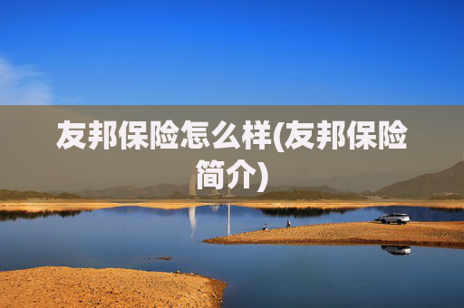 友邦保险怎么样(友邦保险简介)