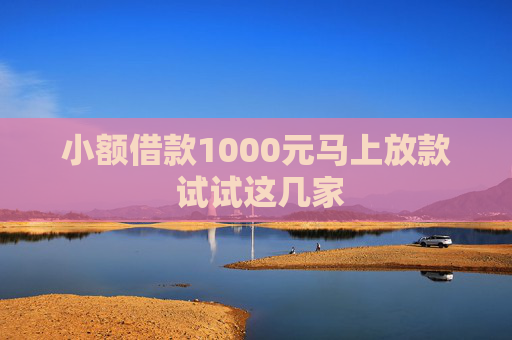 小额借款1000元马上放款 试试这几家