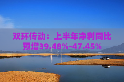 双环传动：上半年净利同比预增39.48%-47.45%