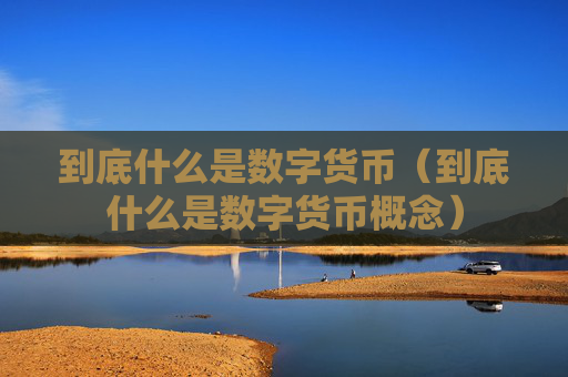 到底什么是数字货币（到底什么是数字货币概念）