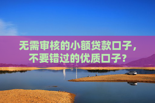 无需审核的小额贷款口子，不要错过的优质口子？