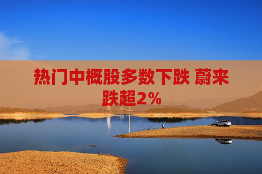 热门中概股多数下跌 蔚来跌超2%