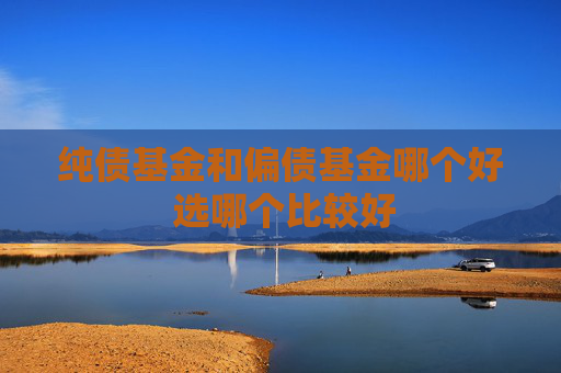 纯债基金和偏债基金哪个好 选哪个比较好