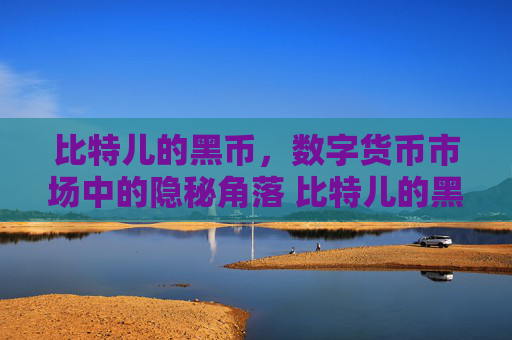 比特儿的黑币，数字货币市场中的隐秘角落 比特儿的黑币