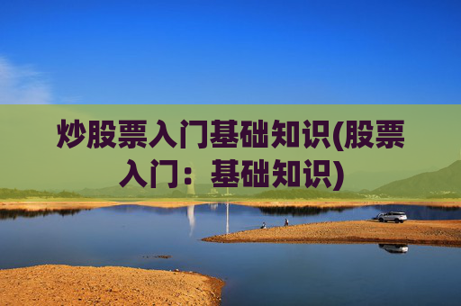 炒股票入门基础知识(股票入门：基础知识)